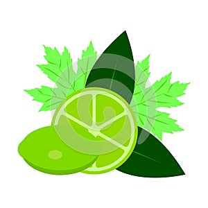 Fresh Lime Fruit with Green Leaves â Citrus Vector Illustration