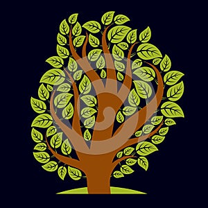 Art illustration of spring branchy tree, stylized ecology symbol