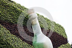 Art Installation of Bottle on the Wall with Plants.