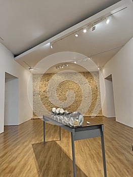 The art installation Moss Wall (1994) by artist Olafur Eliasson