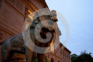 Art Institute of Chicago Lion photo