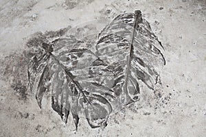 Art and leaf prints on the cement floor in the garden display show