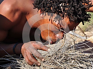 The art of making a bush-fire: Naro-Bushmen near Ghanzi in the C