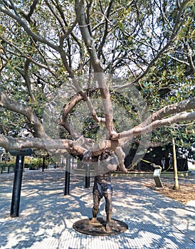 Art, man holding the tree