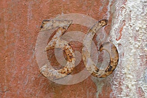 Art of metal, Rusty house number thirty six