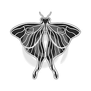 Art nouveau style basic butterfly element. 1920-1930 years vintage design. Symbol motif design. Isolated on white.