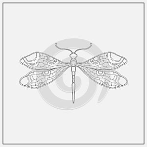 Art nouveau style dragonfly insect basic element. 1920-1930 years vintage design. Symbol motif design.