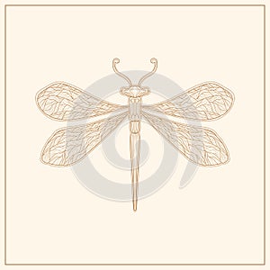 Art nouveau style dragonfly insect basic element. 1920-1930 years vintage design. Symbol motif design.