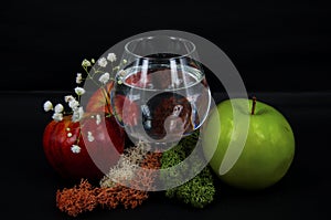 Art photo glass of water red and green apples moss different color white flowers on a black background