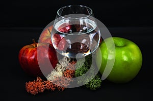 Art photo glass of water red and green apples moss of different colors on a black background 1