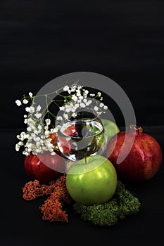 Art photo glass of water red and green apples moss of different colors on a black background 3