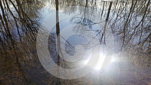 Art photo of spring puddle in the park with reflection of the sun and trees