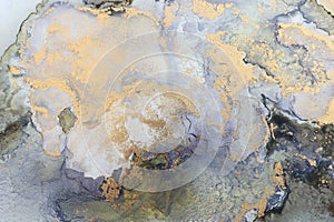 art photography of abstract fluid art painting with alcohol ink, black and gold colors