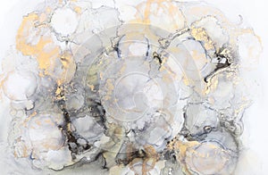 art photography of abstract fluid art painting with alcohol ink, black, gray and gold colors