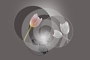 Art picture with circles and flowers tulips and white light