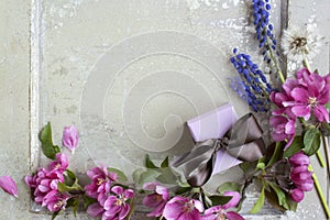 Art pink spring flowers frame with gift box on old white wood background.