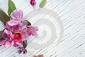 Art pink spring flowers frame on old white wood background.