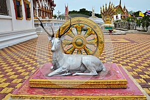 Art sculpture carving crouching deer figure and wheel of Dharmachakra dharma statue for thai people travelers travel visit of Wat