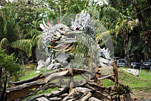 Art sculpture carving wooden chinese ancient dragon and wood antique snake naga gardening in garden park for thai people travel