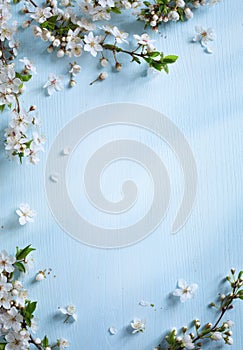 Art Spring border background