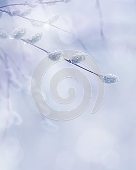 Art spring branch background