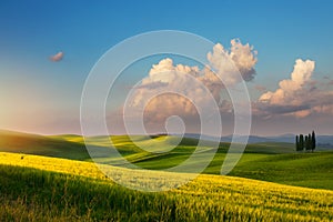 Art spring farmland and country road; tuscany countryside rolling hills