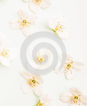 Art spring flowers background