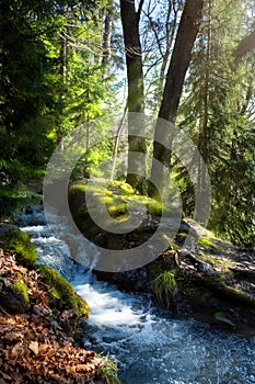 Art Spring forest Nature background. Natural Mountain landscape background with forest stream waterfall. Sunny woodland. Peaceful