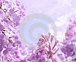 Art Spring lilac flower background