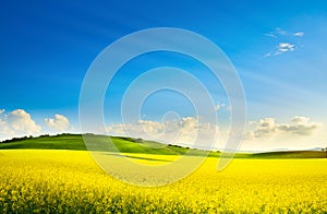 Art springtime rural landscape. rape spring field and blue sky horizon photo