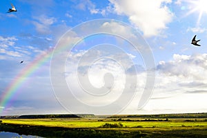 Art summer scene, panorama of nature after the rain