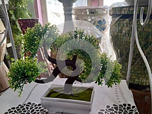 The art of syntetic bonsay