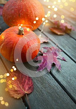 Thanksgiving holiday party background, autumn pumpkin and holidays light decoration