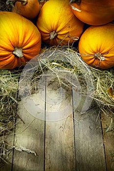 Art thanksgiving pumpkins autumn background