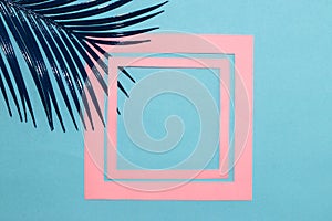 art tropical background, pastel blue background with blue palm leaf and pink frame in frame
