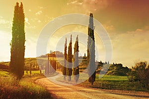 Art Vintage Tuscany countryside landscape photo