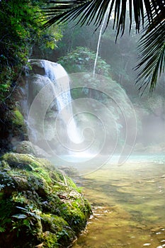 Art waterfall in a dense tropical rainforest