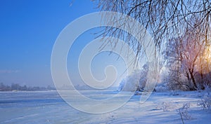 Art winter Landscape with Frozen lake and snowy trees