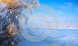 Art winter Landscape with Frozen lake and snowy trees