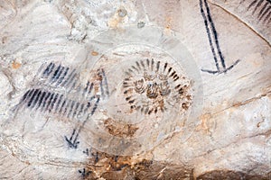 Art in Yourambulla cave Flinders Ranges Australia