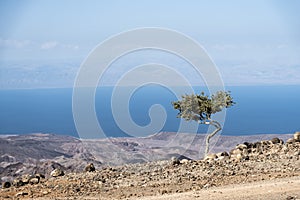 Arta landscape view to Gulf of Tadjourah, Djibouti, East Africa photo