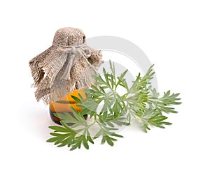 Artemisia absinthium with pharmaceutical bottle. photo