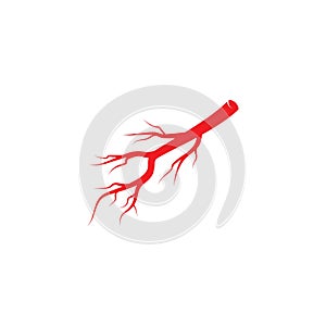 Arterial illustration vector