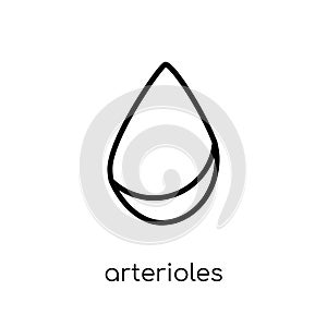 Arterioles icon. Trendy modern flat linear vector Arterioles icon on white background from thin line sauna collection photo