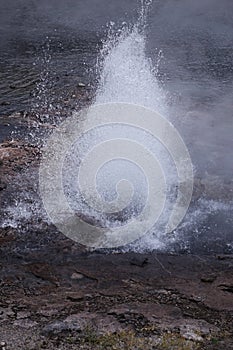 Artesia Geyser - Yellowstone WY photo