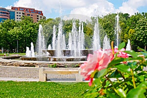 Artesian fountain in a Bucharest city park Alexandru Ioan Cuza park/IOR with coral/pink roses and a building in the back