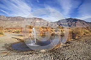 Artesian Spring In Desert photo