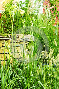 Artesian well and bucket.