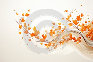 Artful composition of autumn leaves, set against a pristine white background. The varied shapes, colors, and textures of the