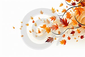 Artful composition of autumn leaves, set against a pristine white background. The varied shapes, colors, and textures of the